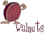 Machine Embroidery Designs: Walnuts