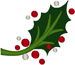 Modern Holly & Berries Embroidery Design