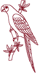 Redwork Parrot Embroidery Design