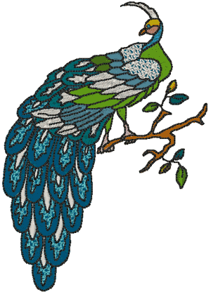 Beautiful Peacock Embroidery Design