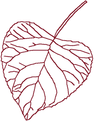 Redwork Black Poplar Leaf Embroidery Design