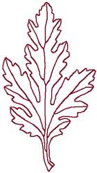 Redwork Chrysanthemum Leaf Embroidery Design