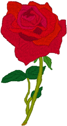Single Red Rose Embroidery Design