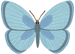 Ozone Blue Butterfly Embroidery Design