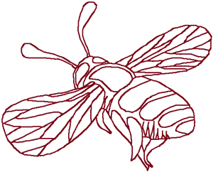 Redwork Bee Embroidery Design
