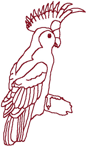 Redwork Beautiful Cockatoo Embroidery Design