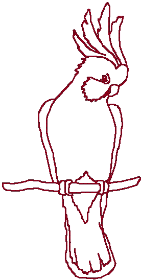 Redwork Perched Cockatoo Embroidery Design