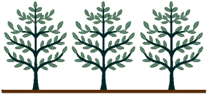 Minoan Folk Art Tree Border Embroidery Design