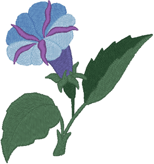 Morning Glory Embroidery Design