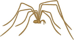 Daddy Longlegs Embroidery Design