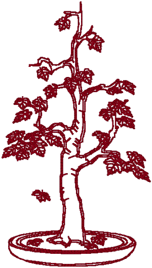 Redwork Bonsai Maple Tree Embroidery Design