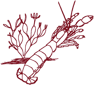 Redwork Sealife #1 Embroidery Design