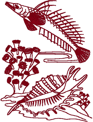 Redwork Sealife #5 Embroidery Design