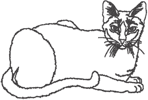 Cat Outline Embroidery Design