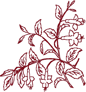 Redwork Fuchsia Corner Embroidery Design