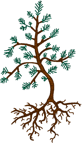 Budding Pine Tree and Roots Embroidery Design