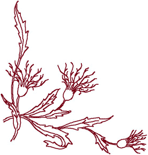 Redwork Thistle Corner Embroidery Design