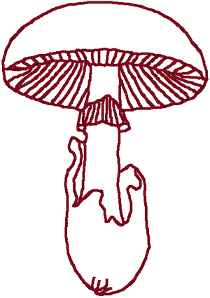 Redwork Mushroom Embroidery Design