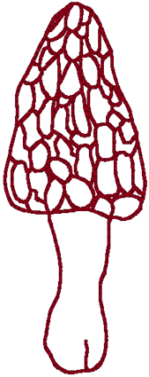 Redwork Morel Mushroom Embroidery Design