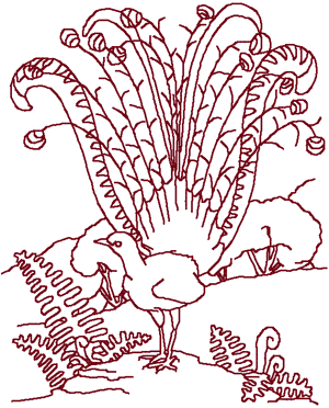 Redwork Peacock Embroidery Design