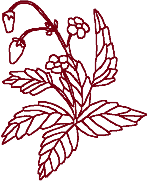 Redwork Wild Strawberries Embroidery Design