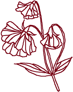 Redwork Sweet Peas Embroidery Design