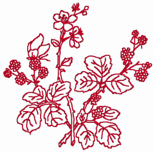 Redwork Wild Raspberries Embroidery Design