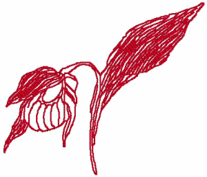 Redwork Lady Slipper Orchid Embroidery Design