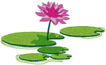 Water Lily Embroidery Design