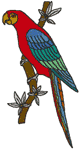 Tropical Parrot Embroidery Design