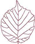 Redwork Hazel Leaf Embroidery Design