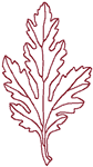 Redwork Chrysanthemum Leaf Embroidery Design