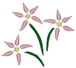 Starflower Complementary Embroidery Design