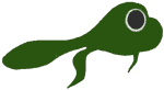 Swimming Tadpole Embroidery Design