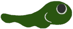 Smiling Tadpole Embroidery Design