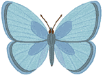 Ozone Blue Butterfly Embroidery Design