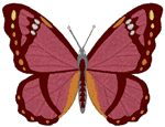 Bronze Flicker Butterfly Embroidery Design