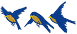 3 Little Bluebirds Embroidery Design