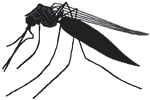 Mosquito Embroidery Design