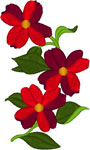 Red Crimson Dogwood Embroidery Design