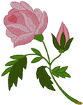 Budapest Folk Art Rose Embroidery Design