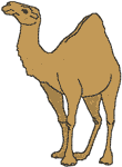 Arabian Camel Embroidery Design