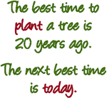 The Best Time to Plant a Tree Embroidery Design