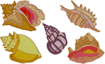 Ocean Seashells Embroidery Design