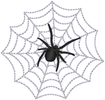 Spiders