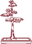 Redwork Bonsai Cypress Tree Embroidery Design