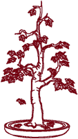Redwork Machine Embroidery Designs: Bonsai Maple Tree
