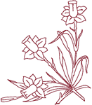 Redwork Daffodil Corner Embroidery Design