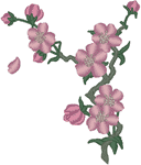 Cherry Blossoms Embroidery Design