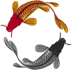Aquatic Creatures